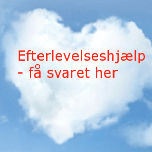 Efterlevelseshjælp